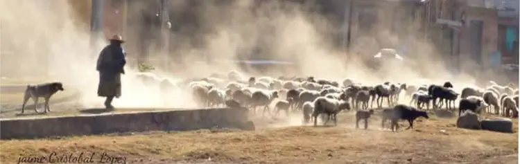 San Antonio Tierras Blancas